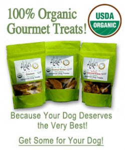 Organic Dog treats